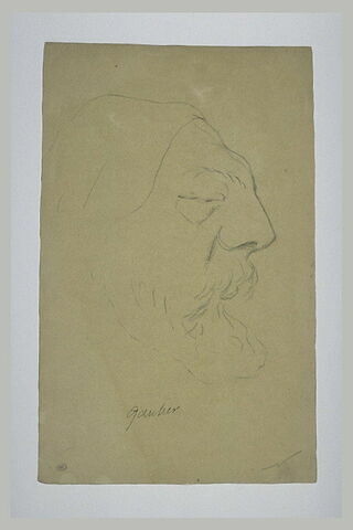 Croquis esquissé de la tête de Théophile Gautier