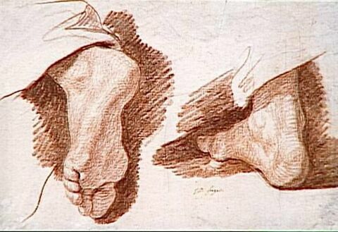 Deux études de pieds