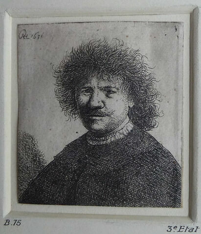 Rembrandt au collet pendant