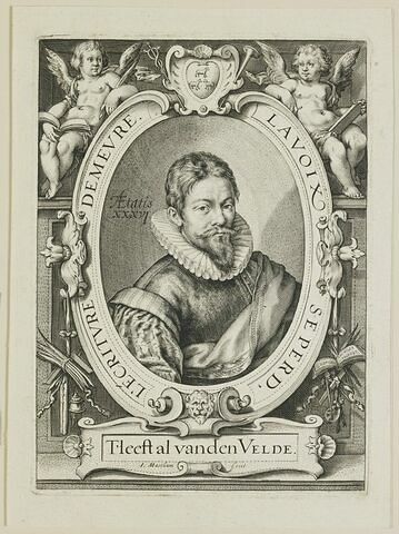 Heestal van den Velde