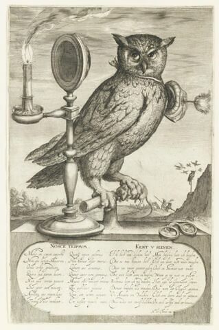 Le hibou et le verre grossissant