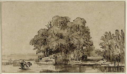 Groupe d'arbres au bord de l'eau