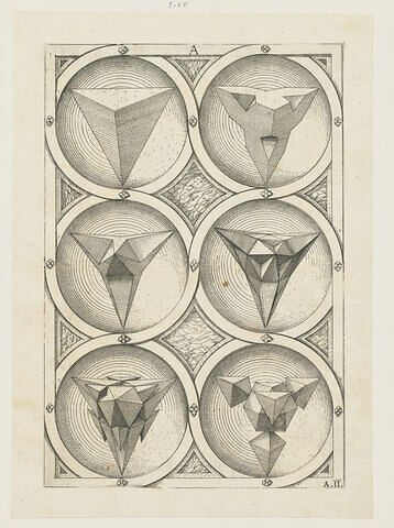 Perspectiva Corporum Regularium