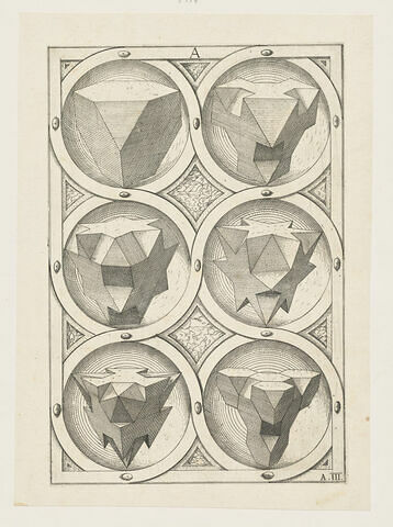 Perspectiva Corporum Regularium