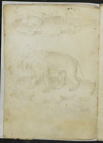 Lapin sur un tertre et lion