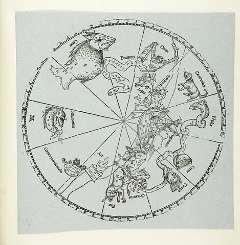 Carte du globe céleste : l'hémisphère australe