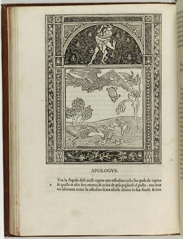 Fable de l'aigle et de la tortue