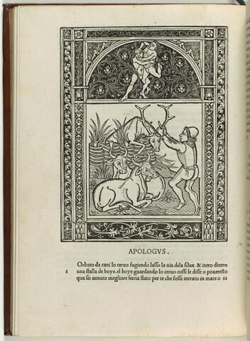 Fable du cerf et des boeufs