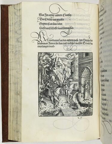 25. Ist poetisch und bedeut den anfang aller teurlichen sachen so der Adenlich Ritter Teurdannck mit besynntnus angefange und Im doch aus unfal und trutzlichem gemüt gross und merklich geferlicheiten zugestanden sein/ darumb wirdet gesetzt Er kam zu unfallo/ das ist zu den unfellischen geschichten.