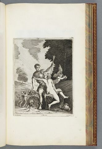 Vénus et Adonis