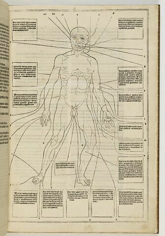 Tabula secunda de Flobotomia