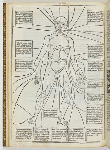 Tractatus secundus. De urinarum iudiciis