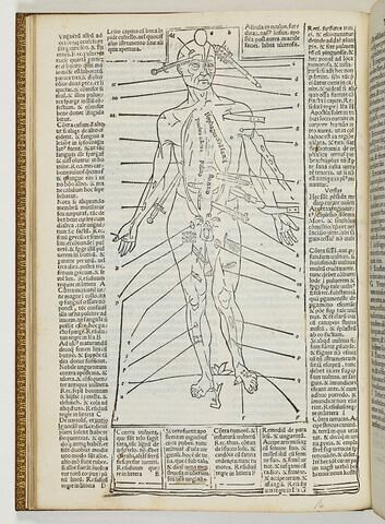 Tractatus sextus. De chyrugia