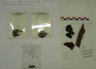 tissu ; fragments ; fragments, image 2/3