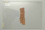 papyrus, image 2/2