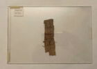 papyrus, image 1/2