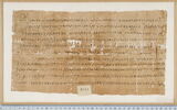 papyrus documentaire, image 1/2