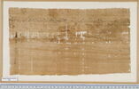 papyrus documentaire, image 2/2