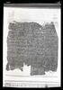 papyrus documentaire, image 2/2