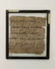 papyrus, image 1/2