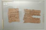 papyrus, image 2/3