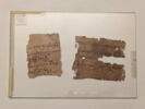 papyrus, image 1/3