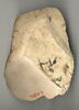 ostracon, image 2/2