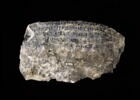 ostracon, image 2/2