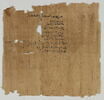 papyrus documentaire, image 2/2