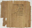 papyrus documentaire, image 2/2