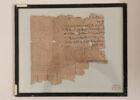 papyrus documentaire, image 2/2