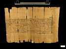 papyrus documentaire, image 1/4