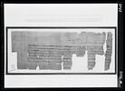 papyrus documentaire, image 3/3