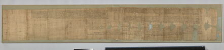 papyrus documentaire, image 1/5