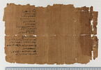 papyrus documentaire, image 2/6