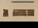 papyrus documentaire, image 4/6