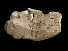 ostracon, image 2/2