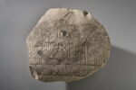 ostracon figuré, image 1/5