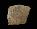 ostracon figuré, image 3/3