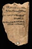 ostracon ; ostracon figuré, image 3/10