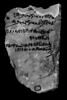 ostracon ; ostracon figuré, image 5/10