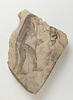 ostracon figuré, image 1/2