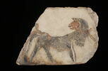 ostracon figuré, image 2/2