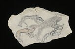 ostracon figuré, image 3/3