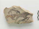 ostracon figuré, image 1/3