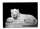 Lion du Sérapéum, image 7/7