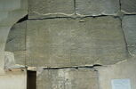 Le mur des annales de Thoutmosis III, image 16/21