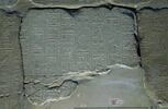 Le mur des annales de Thoutmosis III, image 17/21