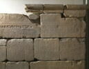 Le mur des annales de Thoutmosis III, image 5/21
