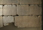 Le mur des annales de Thoutmosis III, image 7/21